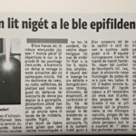 Les fondamentaux du rami : guide pratique pour bien démarrer